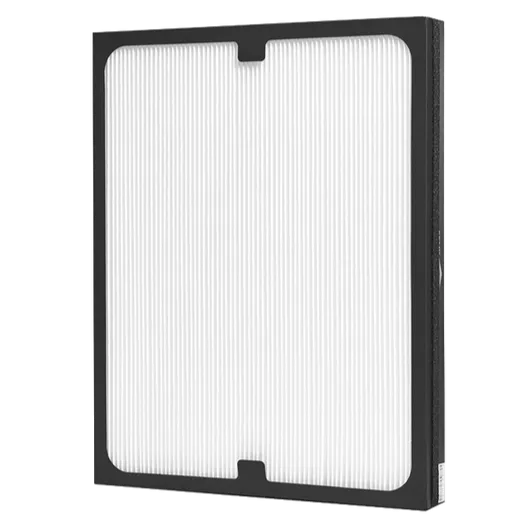 200 SERIES PARTICLE REPLACEMENT FILTER