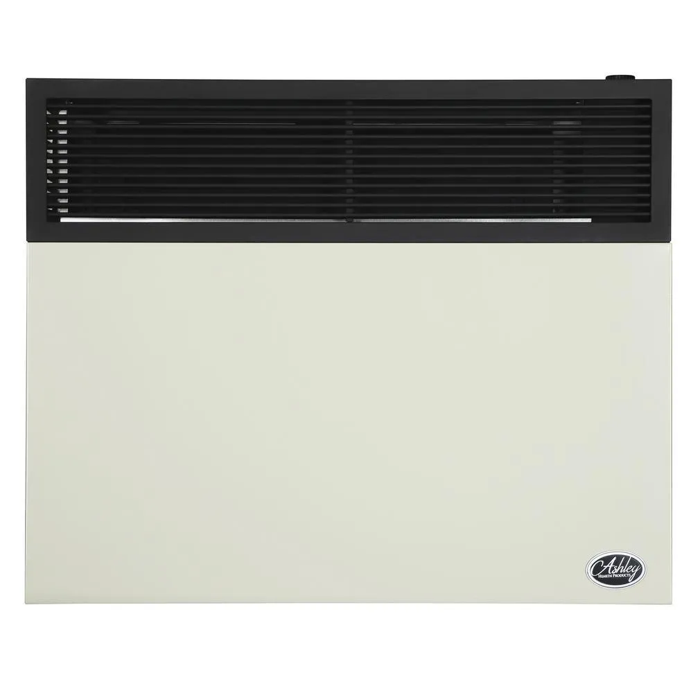 25,000 BTU Direct Vent Natural Gas Heater