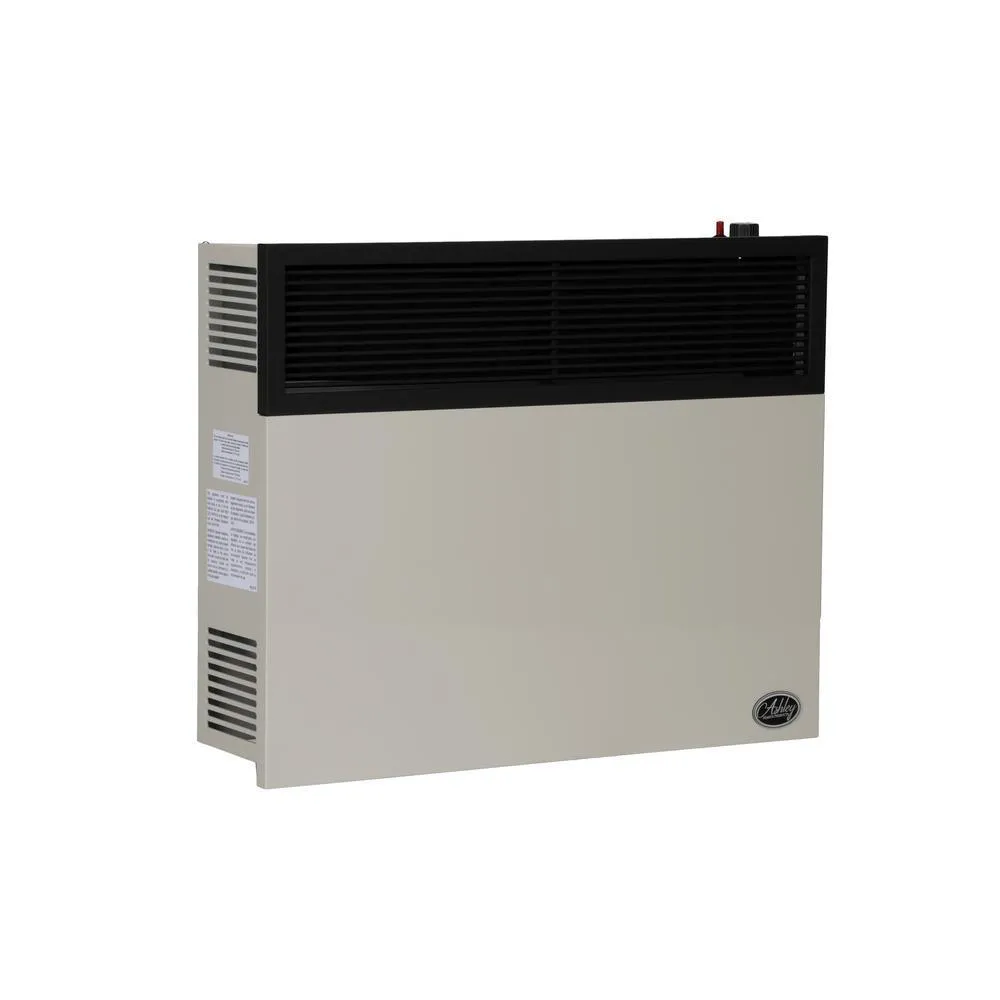 25,000 BTU Direct Vent Propane Heater