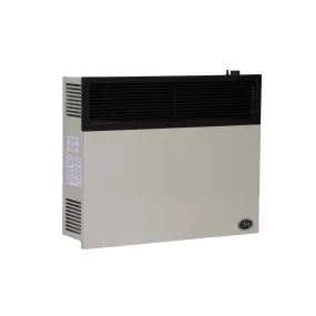 25,000 BTU Direct Vent Propane Heater