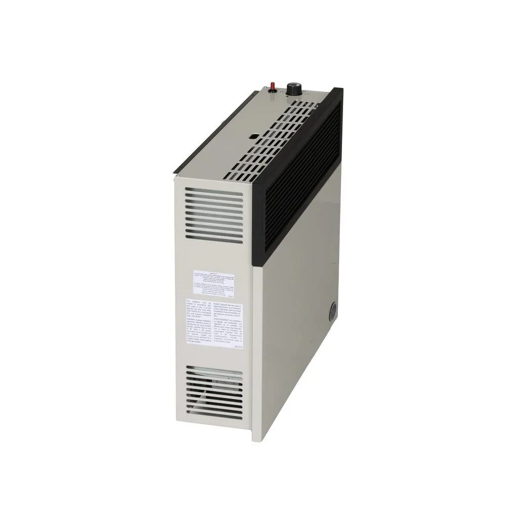 25,000 BTU Direct Vent Propane Heater
