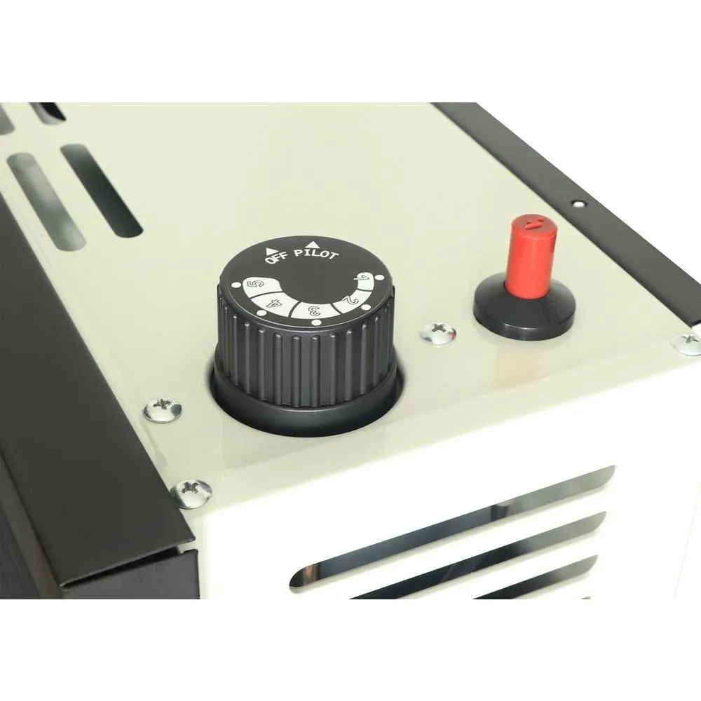 25,000 BTU Direct Vent Propane Heater