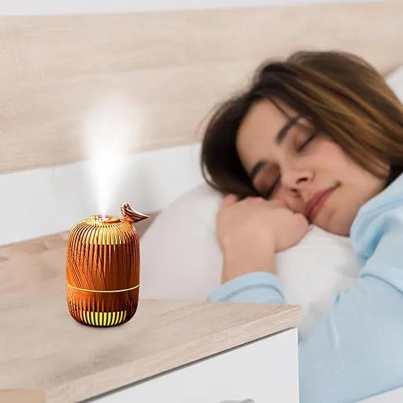 300ML Birdcage Design Desk Air 14591Humidifier-SA2405-195