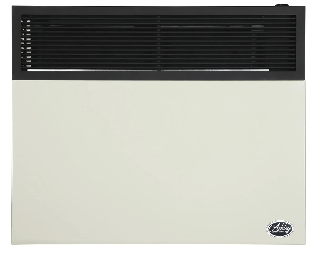 Ashley Propane Direct Vent Heater DVAG30L (25,000 Btu)