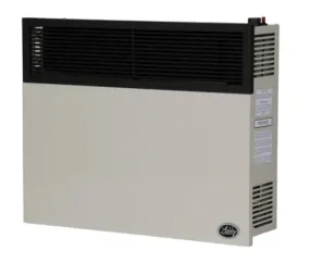 Ashley Propane Direct Vent Heater DVAG30L (25,000 Btu)
