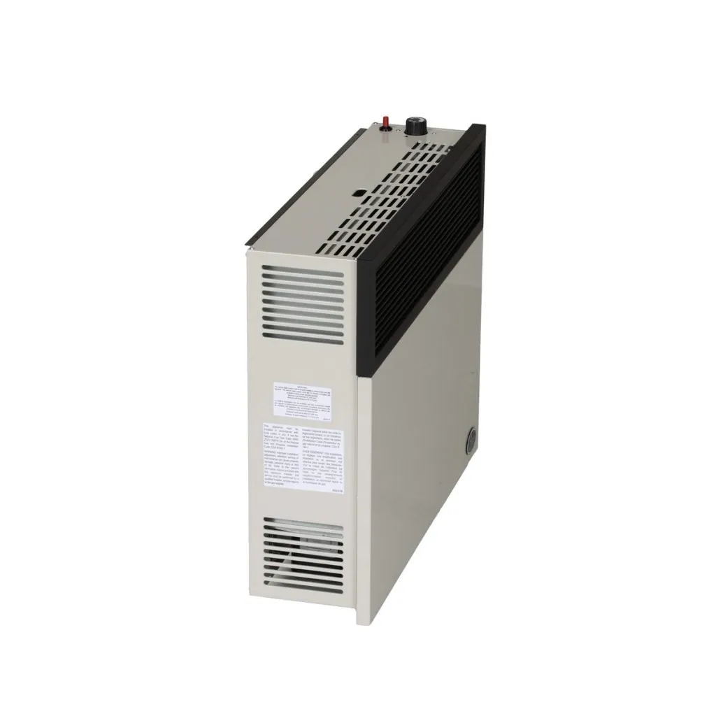 Ashley Propane Direct Vent Heater DVAG30L (25,000 Btu)