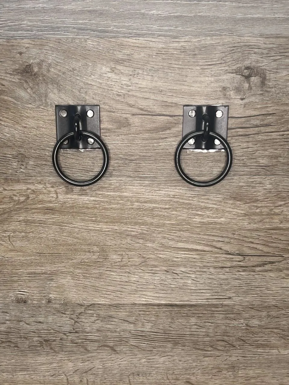Bondage Wall Plate Mount with Attachment Ring BDSM Dungeon