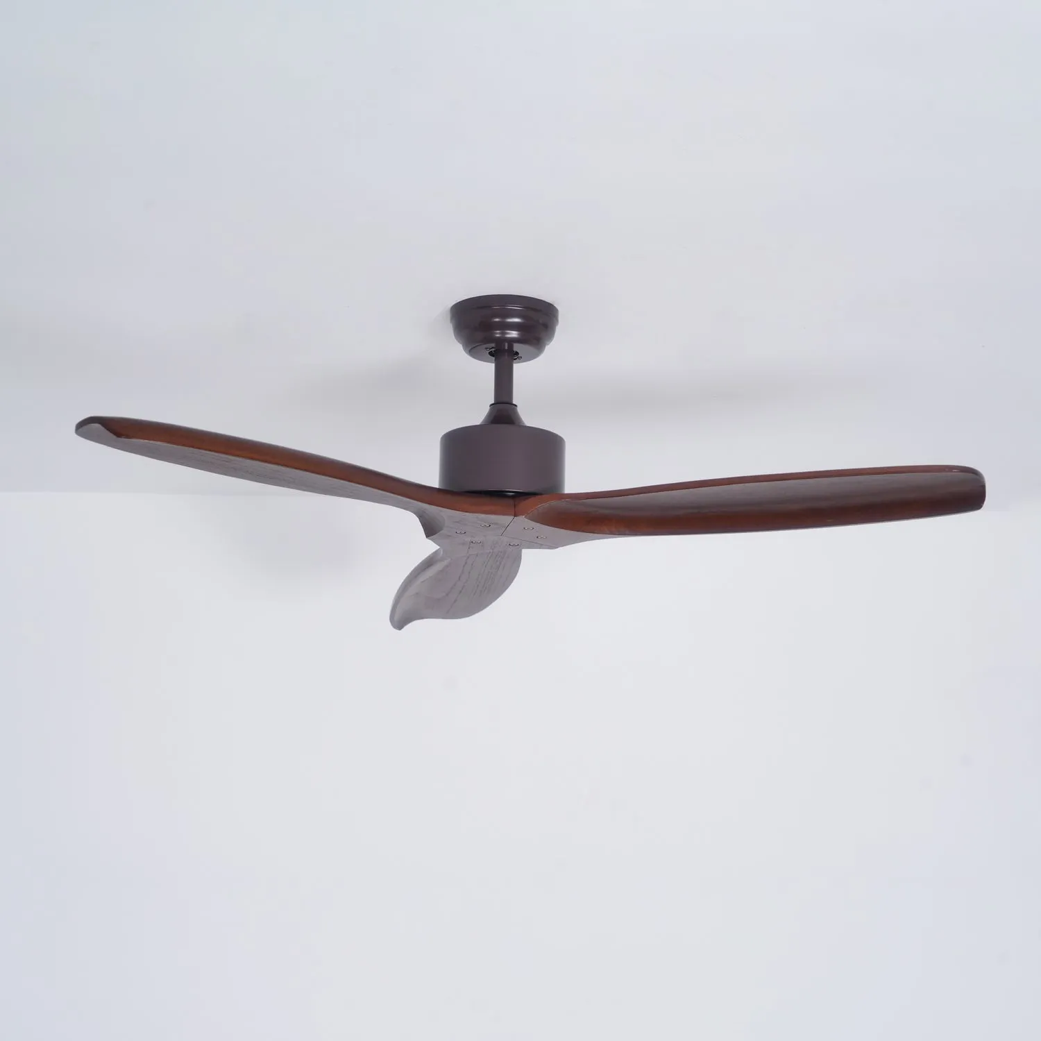 Caesar Kissel Ceiling Fan