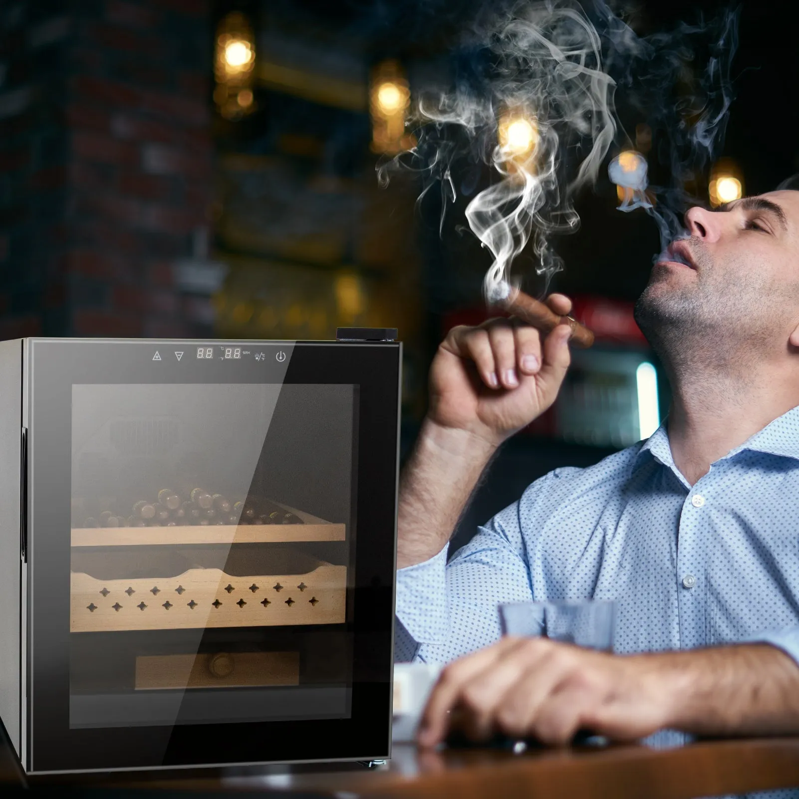 Cigar Humidors with 3-IN-1 Cooling - Heating & Humidity Control, 250 Counts Capacity Cigar Humidor Humidifiers with Constant Temperature Controller (50L)