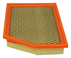 Crown Automotive Jeep Replacement 52022378AA Air Filter;