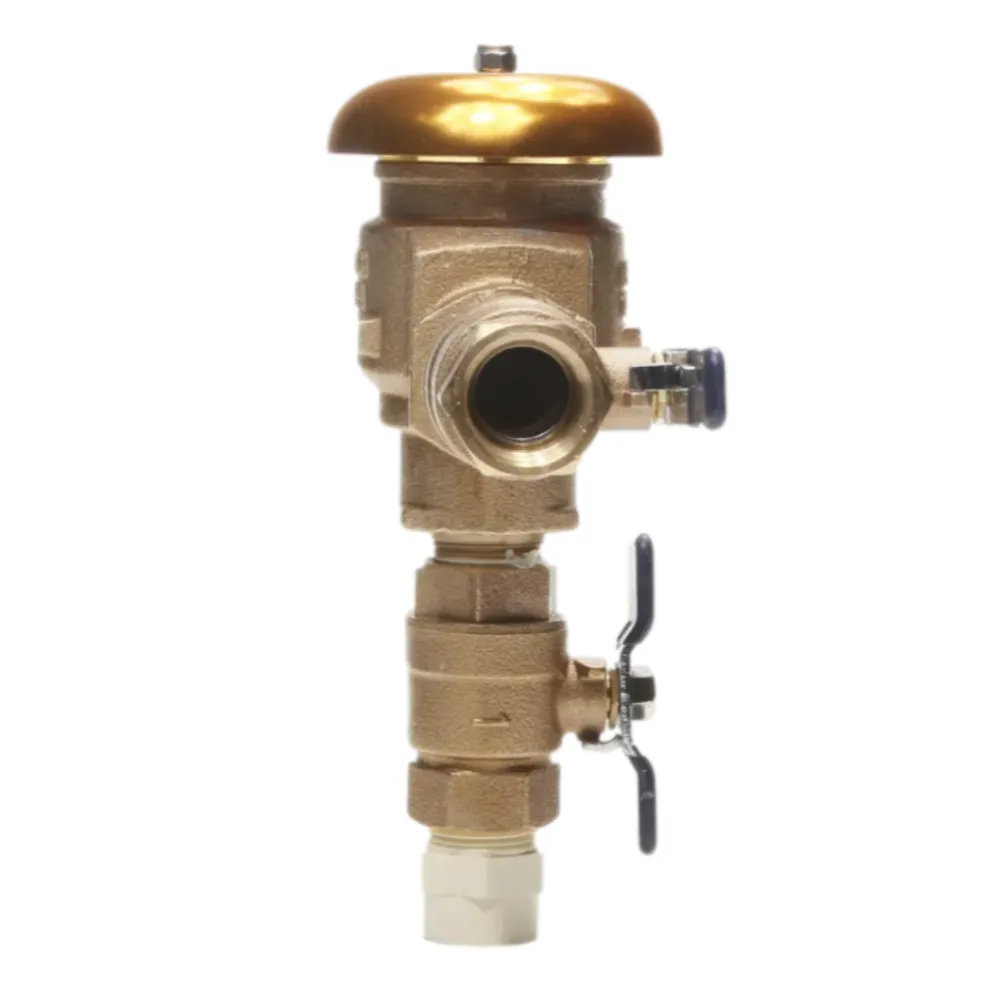 FEBCO - T765EBV - FEBCO 765 Pressure Vacuum Breaker w/ Ball Valves 1 in. Bronze w/ Freeze Sensing Capability (Requires Connection Kit)