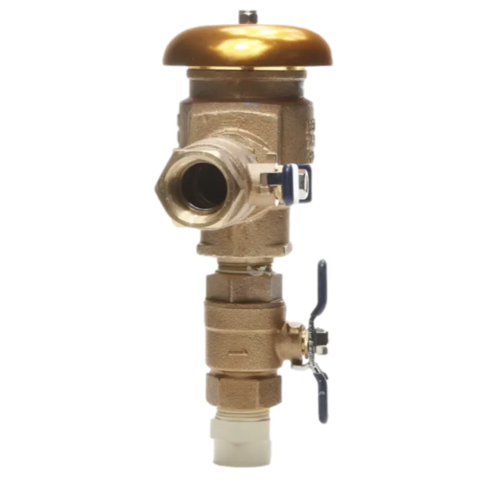 FEBCO - T765EBV - FEBCO 765 Pressure Vacuum Breaker w/ Ball Valves 1 in. Bronze w/ Freeze Sensing Capability (Requires Connection Kit)