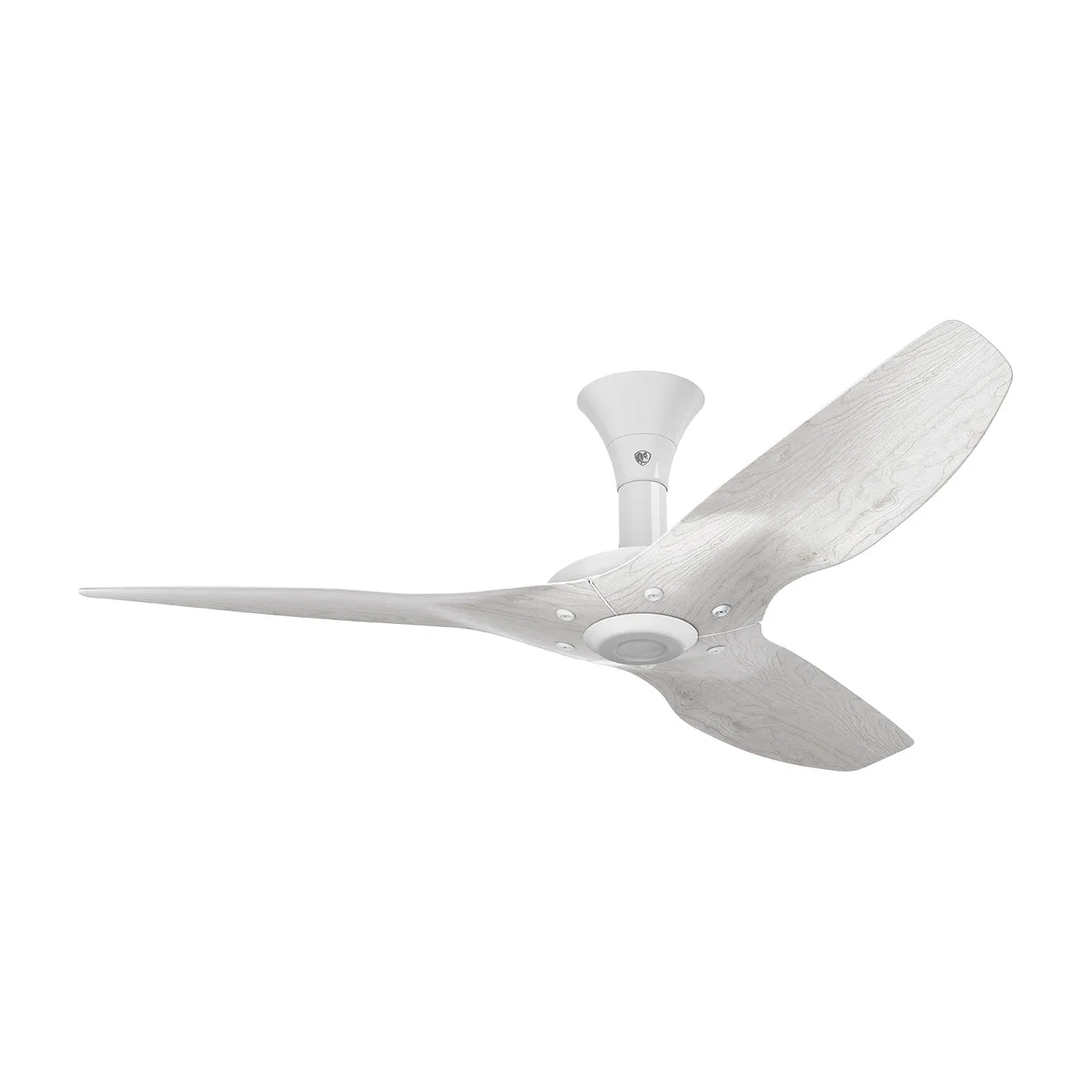 Haiku Outdoor Low Profile Ceiling Fan