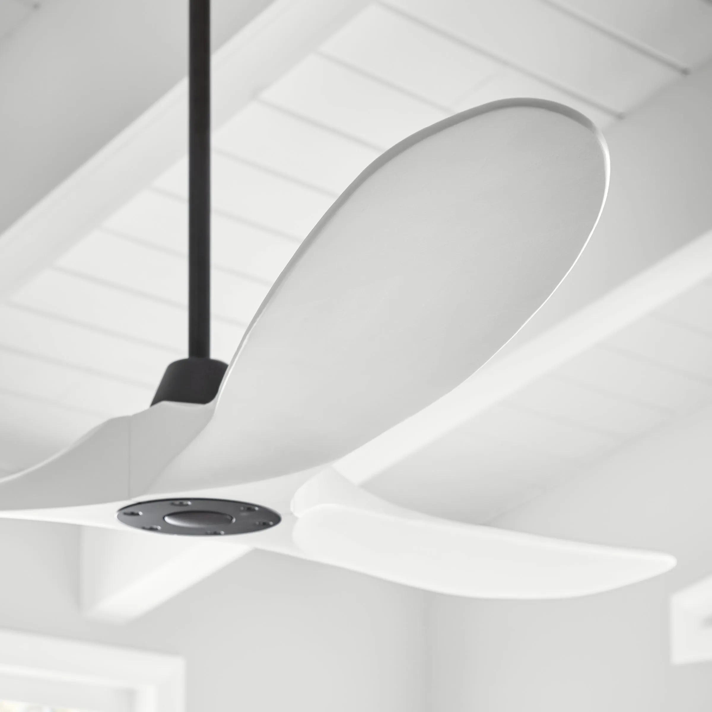 Maverick LED Ceiling Fan