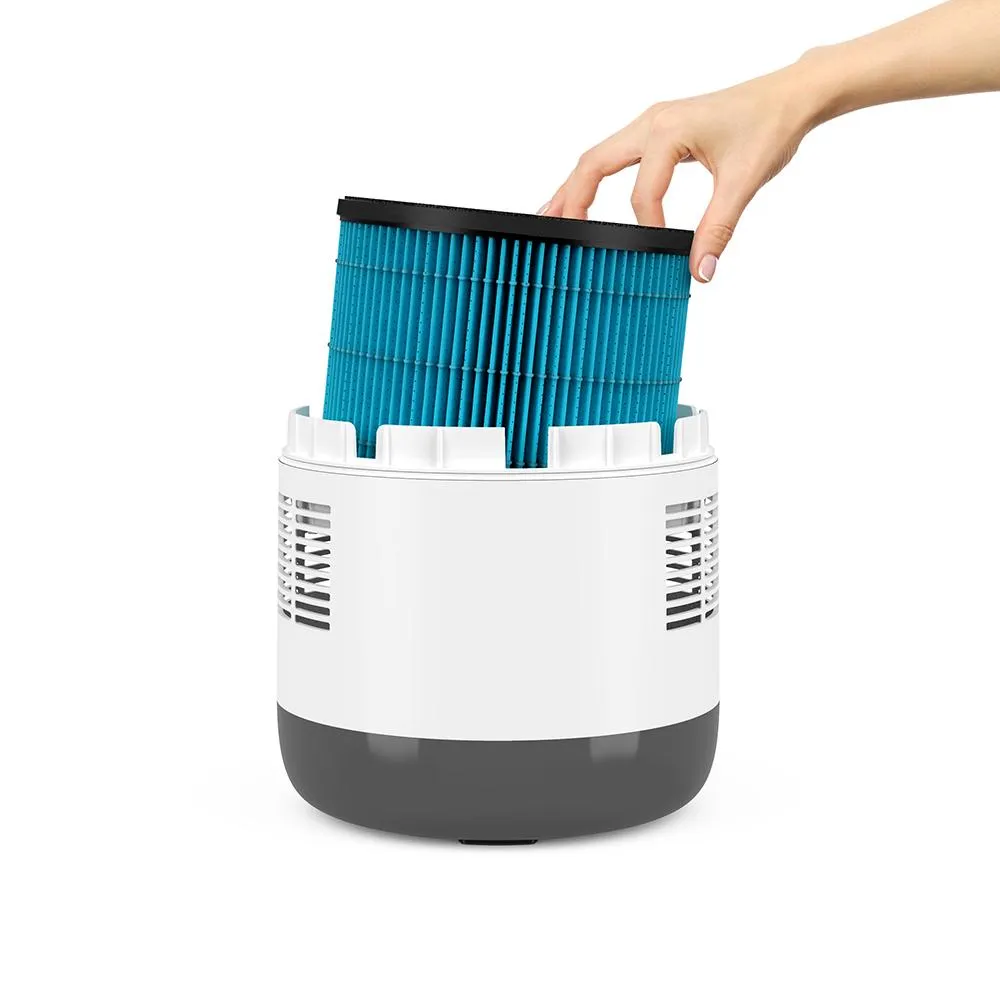 MistAire™ Eva 4-Speed Evaporative Humidifier