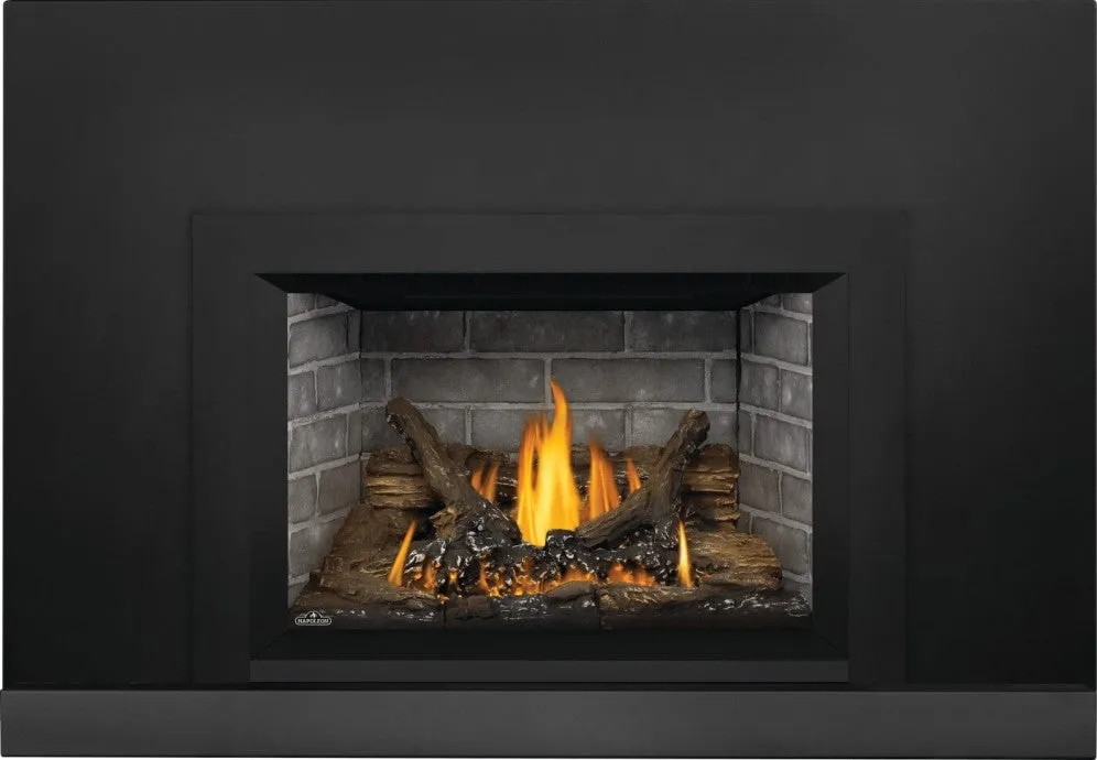 Napoleon Oakville™ Series Gas Fireplace Insert
