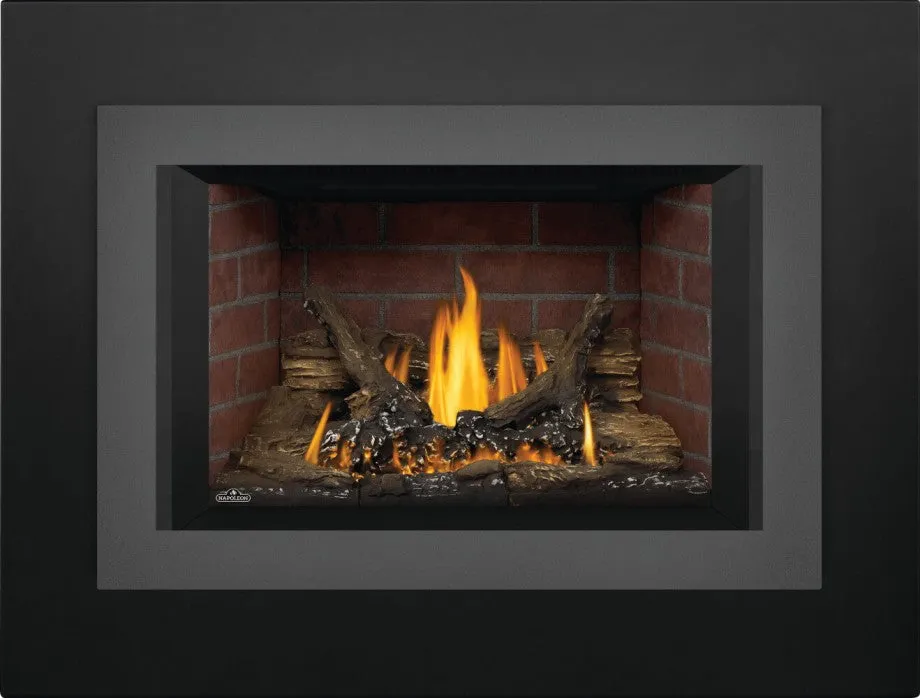Napoleon Oakville™ Series Gas Fireplace Insert