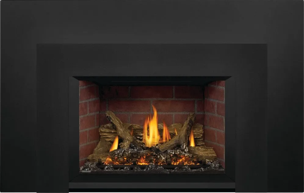 Napoleon Oakville™ Series Gas Fireplace Insert