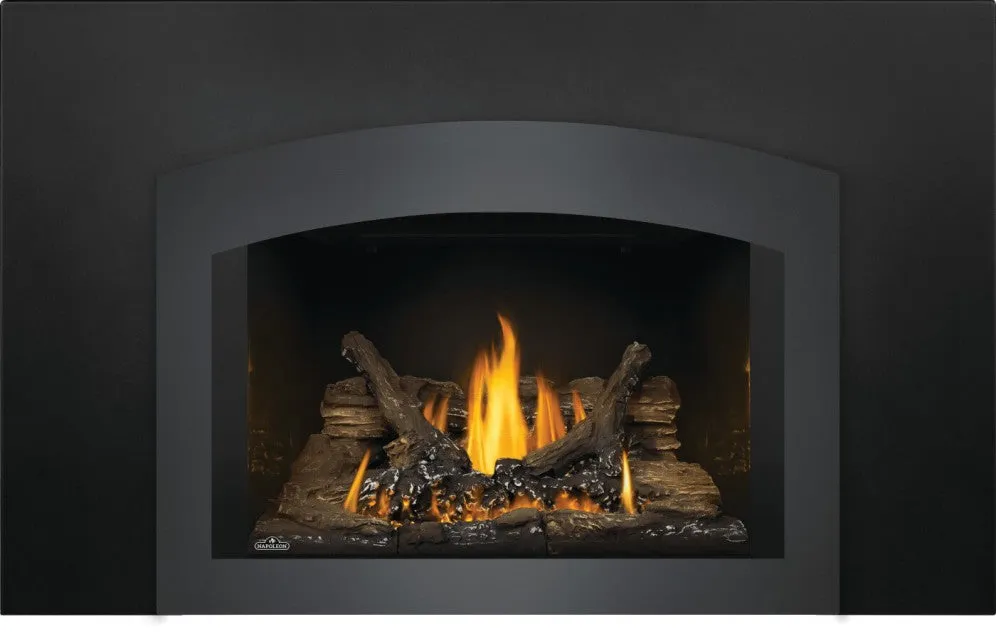 Napoleon Oakville™ Series Gas Fireplace Insert