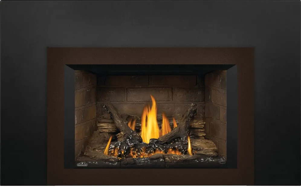Napoleon Oakville™ Series Gas Fireplace Insert