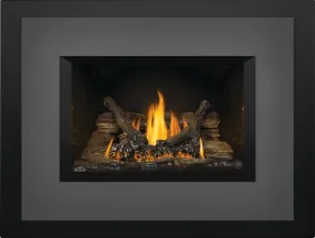 Napoleon Oakville™ Series Gas Fireplace Insert