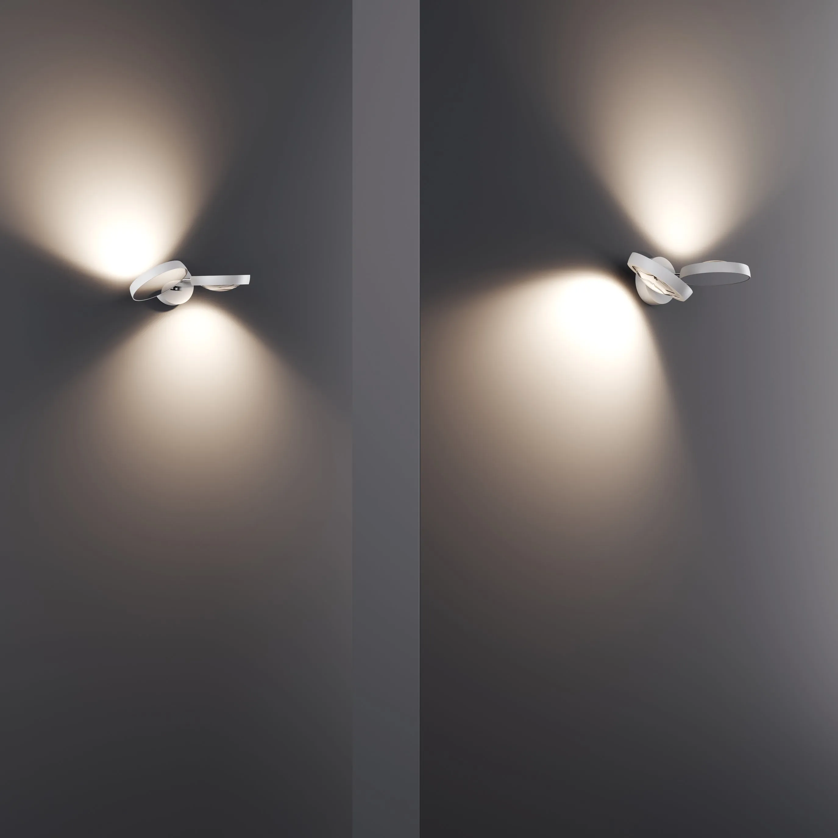 Nautilus Wall Light