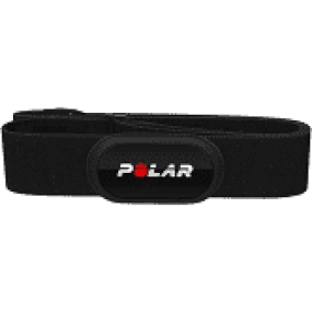 Polar H10 Sensor