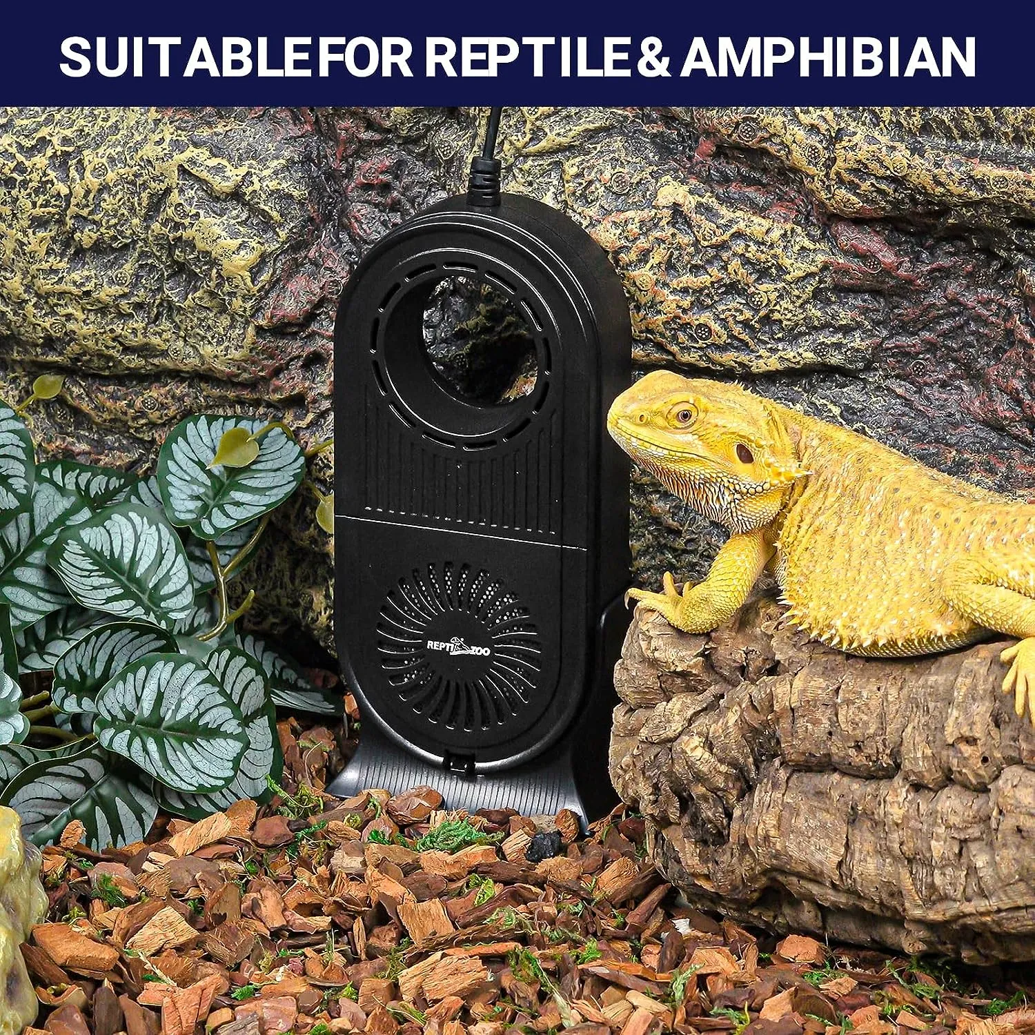 REPTI ZOO Reptile Glass Terrarium Air Purifier,Carbon Filter Reptile Dehumidifier Air Cleaner with Timing for Bearded Dragon,Lizard,Tortoise,Snake