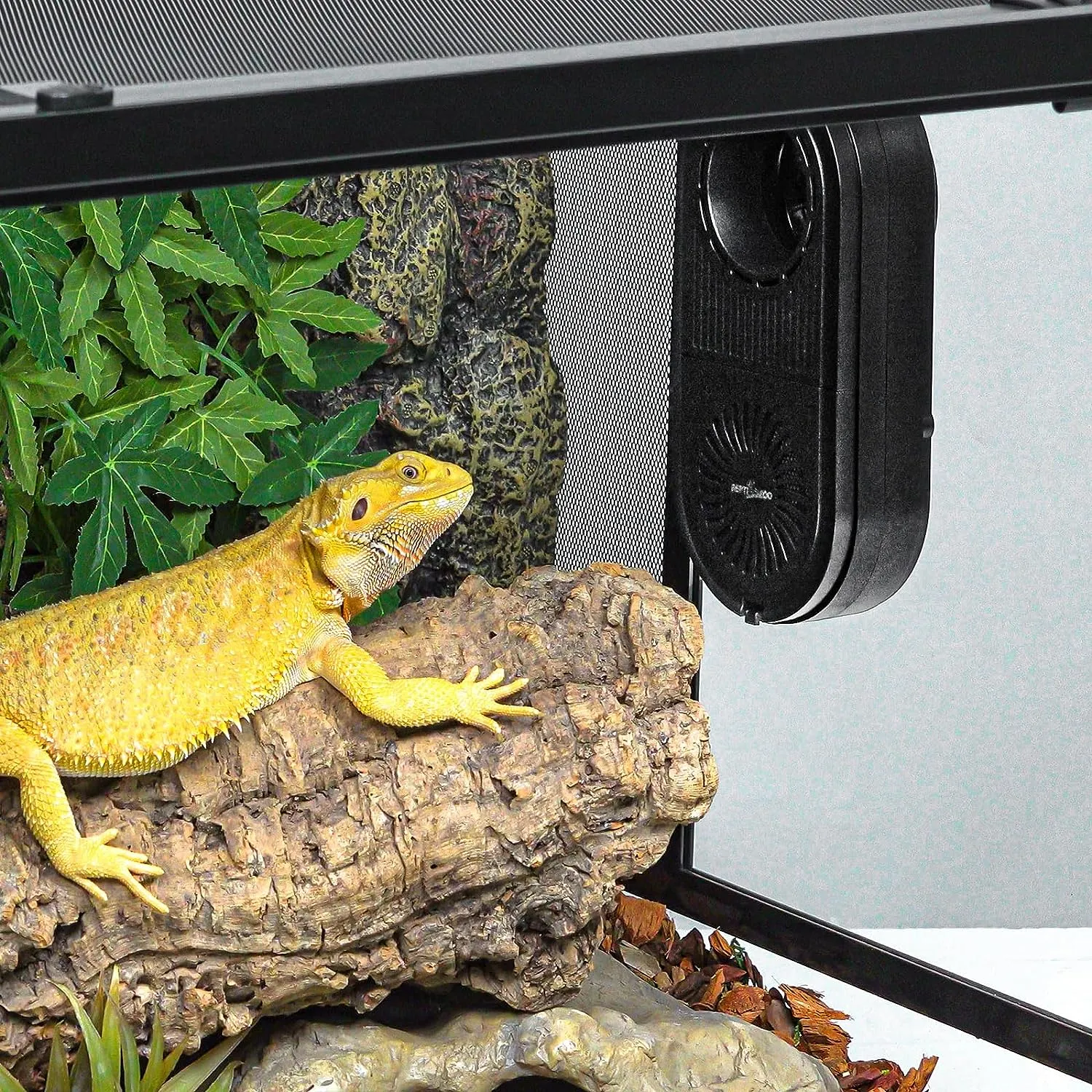 REPTI ZOO Reptile Glass Terrarium Air Purifier,Carbon Filter Reptile Dehumidifier Air Cleaner with Timing for Bearded Dragon,Lizard,Tortoise,Snake