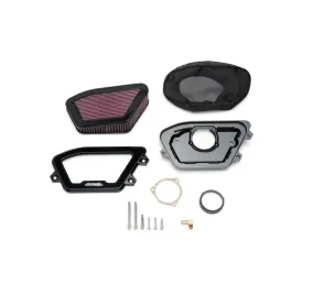 SCREAMIN' EAGLE AIR CLEANER - EXTREME WEDGE