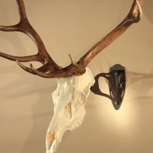 Skull Hooker