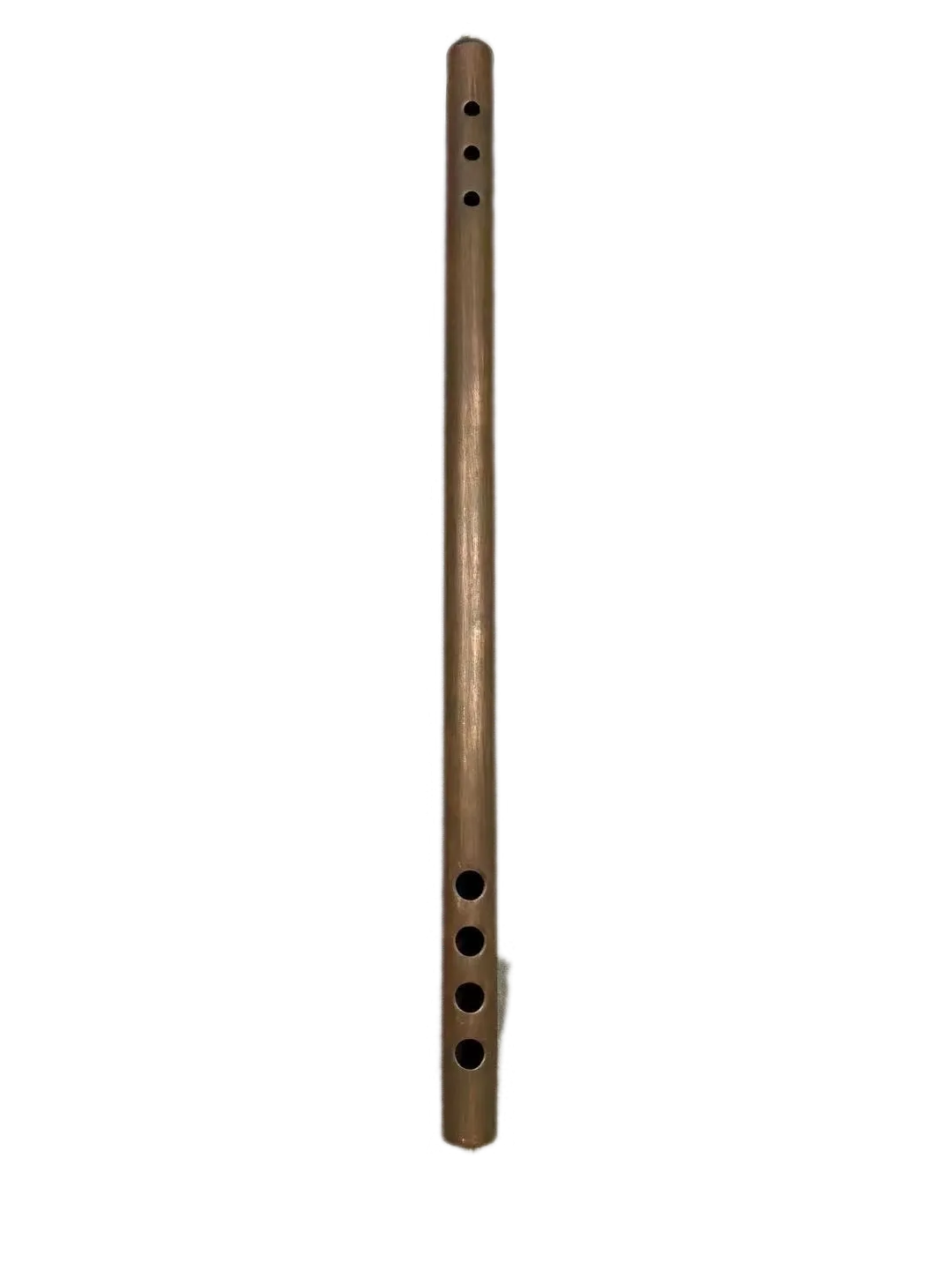 Steam pipe