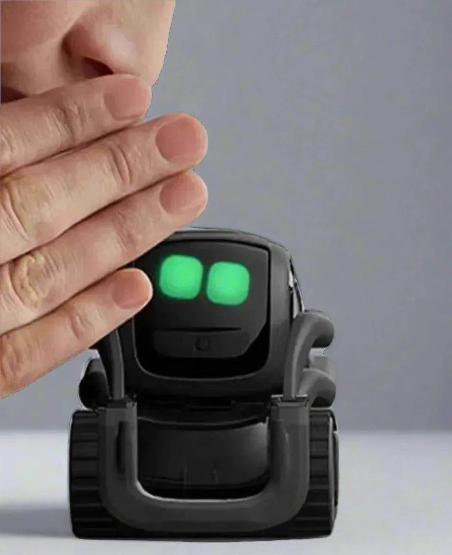 Vector AI Robot Intelligent Emotional Robot